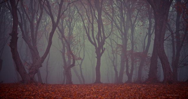  Top  CINCI locuri mai puțin știute din România de văzut o dată în viață