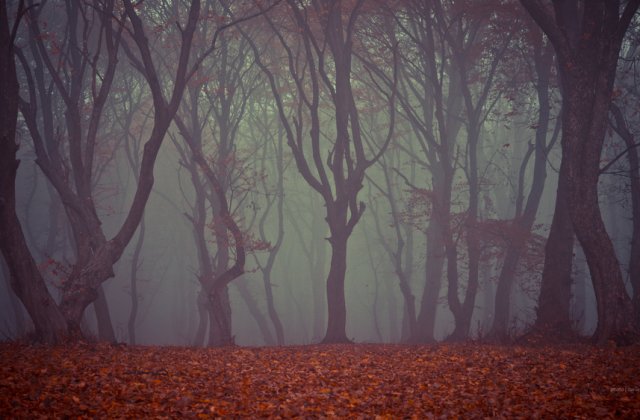 CINCI locuri mai puțin știute din România de văzut o dată în viață