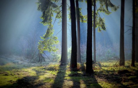  Top  Prognoza meteo pentru vineri, 8 aprilie 2022. Revenim la vremea frumoasă