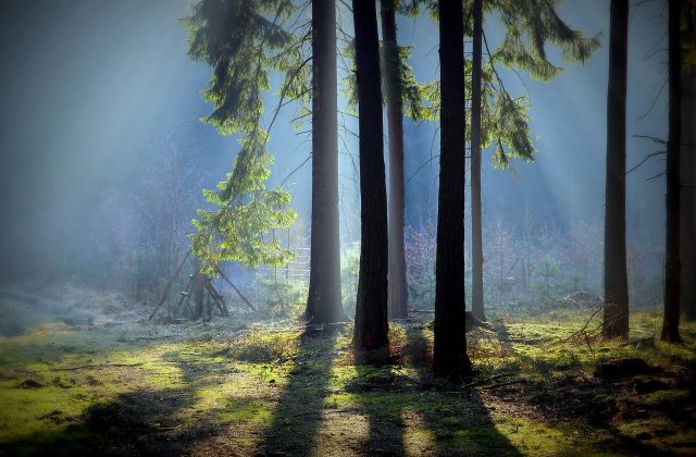 Prognoza meteo pentru vineri, 8 aprilie 2022. Revenim la vremea frumoasă