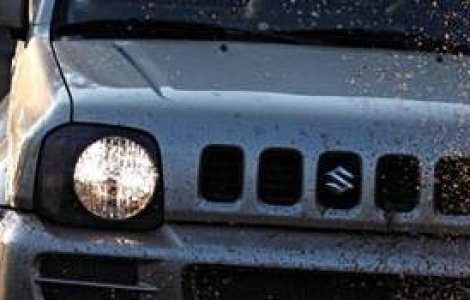 (P) Suzuki sustine off-road-ul romanesc