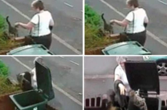 [VIDEO] O pisica a trait 15 ore de cosmar