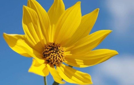  Top  Meteo: Starea vremii in urmatoarele doua saptamani