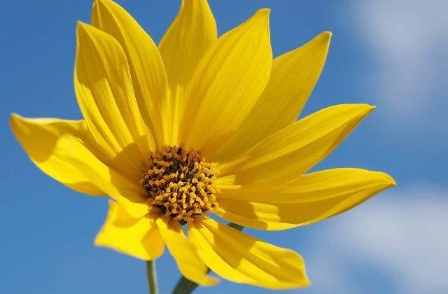 Meteo: Starea vremii in urmatoarele doua saptamani