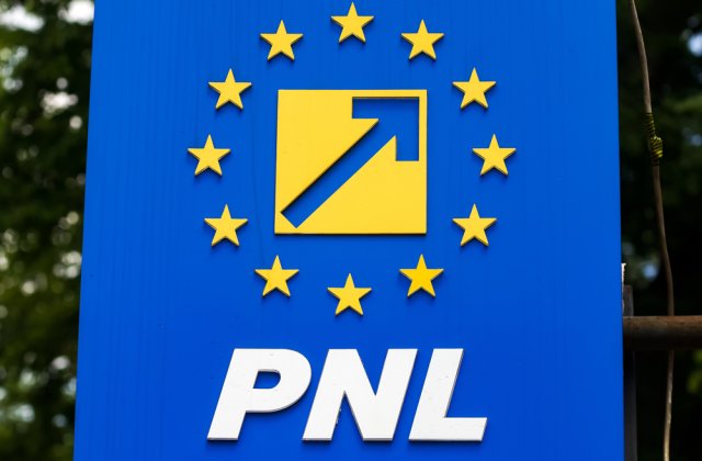 Partidului Naţional Liberal își alege duminică noul președinte. Cine sunt candidații