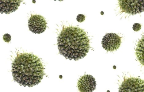 Transmite virusul HIV cu buna stiinta