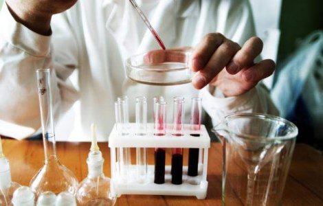 Celule hepatice obtinute din piele