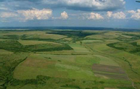 Comisia Calarasi: Contractul de achizitie a terenului de catre Ioana Basescu, nul