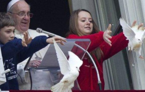 Un soim a fost "angajat" sa pazeasca porumbeii Papei Francisc