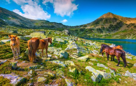  Top  Cele mai frumoase lacuri glaciare din România