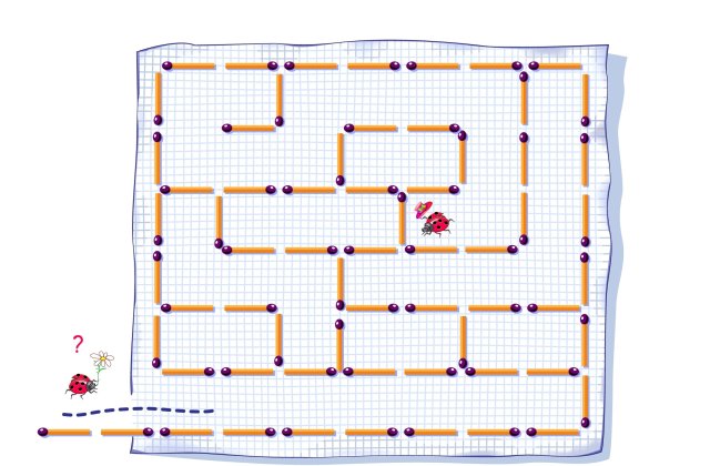 Joc de logică! Scoate două chibrituri pentru a elibera calea buburuzei