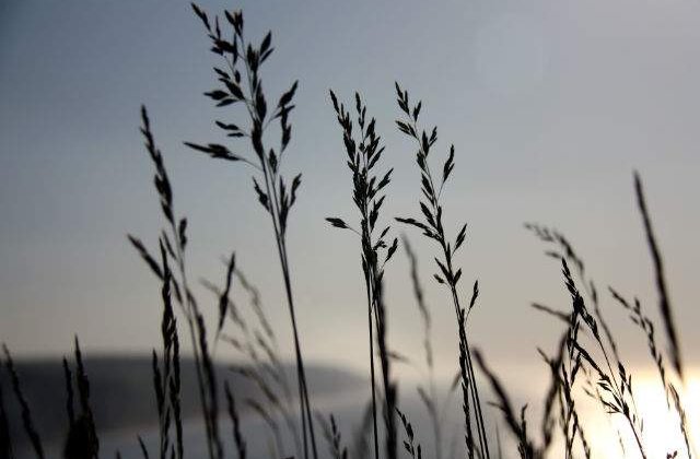 Meteo: Vremea la inceputul saptamanii