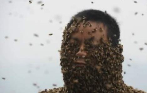  Video  S-a lasat acoperit de peste 450 mii de albine