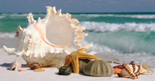  Top  Top 10 cele mai dezamagitoare destinatii de vacanta din lume