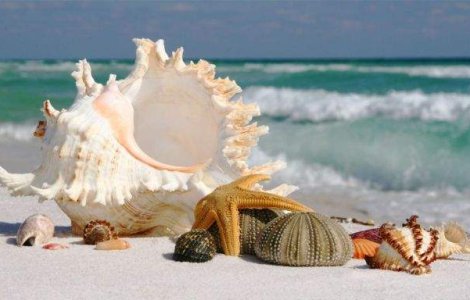  Top  Top 10 cele mai dezamagitoare destinatii de vacanta din lume