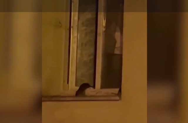 Un bărbat din Sectorul 1 crește șobolani în apartament. Vecinii sunt disperați: ”Omul nu este sănătos la cap!”