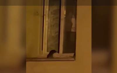 Un bărbat din Sectorul 1...