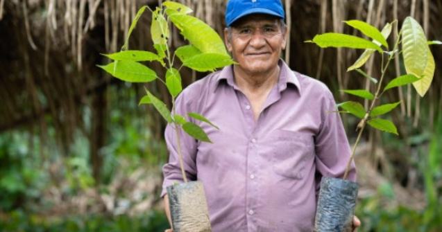 FOREO plantează mii de copaci cu ajutorul clienților săi