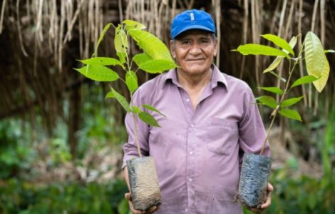 FOREO plantează mii de copaci cu ajutorul clienților săi