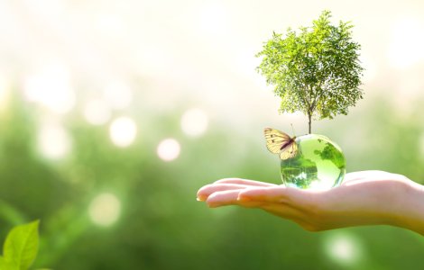 22 aprilie - Ziua Planetei Pământ / Ziua Internațională a Mamei-Pământ