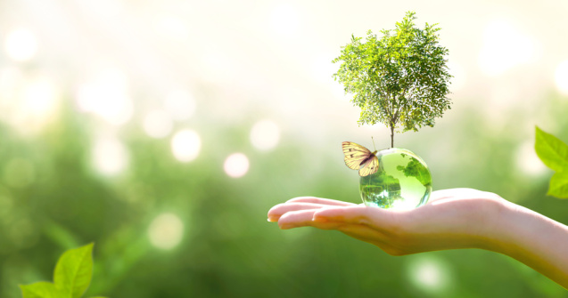 22 aprilie - Ziua Planetei Pământ / Ziua Internațională a Mamei-Pământ