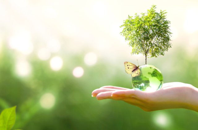 22 aprilie - Ziua Planetei Păm&acirc;nt / Ziua Internațională a Mamei-Păm&acirc;nt