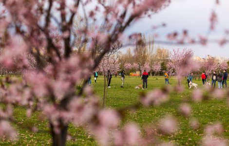 Bilanț COVID-19 în România: 566 cazuri noi în ultimele 24 de ore