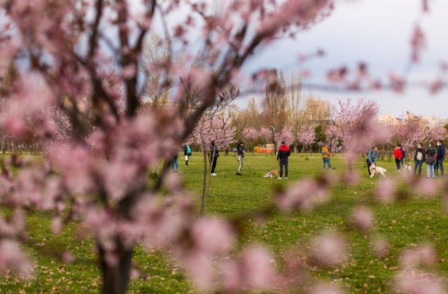 Bilanț COVID-19 în România: 566 cazuri noi în ultimele 24 de ore