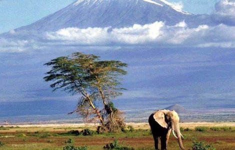  Top  Top 15 vedete care nu s-au nascut acolo unde credeti