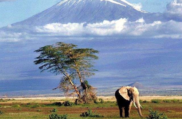 Top 15 vedete care nu s-au nascut acolo unde credeti