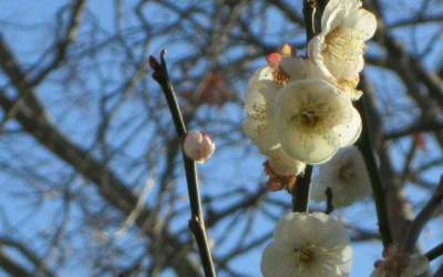 Meteo: Cum va fi vremea de Paste