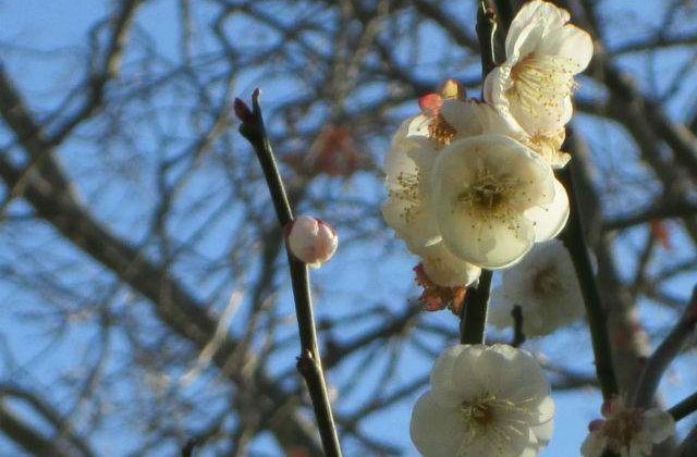 Meteo: Cum va fi vremea de Paste