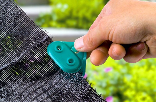 Avantajele oferite de un solar de legume