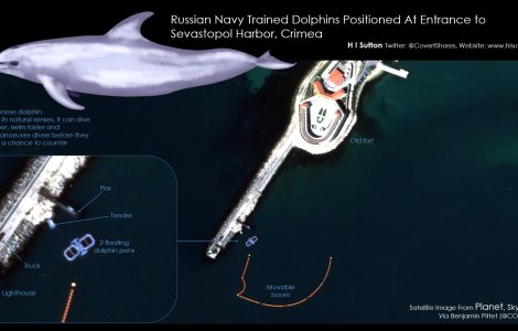 Delfini antrenați de armata rusă păzesc portul din Sevastopol. Rolul mamiferelor în protecția navelor/Imagini din satelit