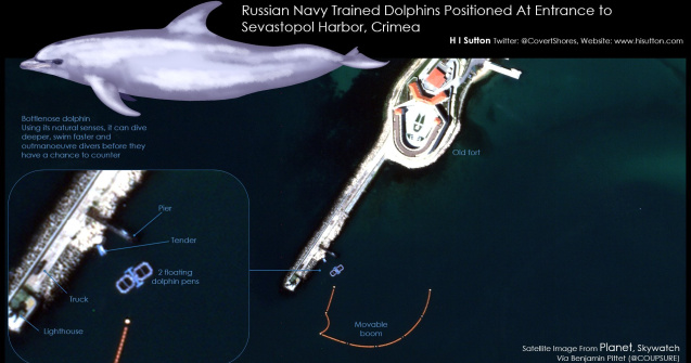 Delfini antrenați de armata rusă păzesc portul din Sevastopol. Rolul mamiferelor în protecția navelor/Imagini din satelit