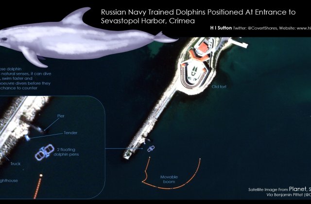 Delfini antrenați de armata rusă păzesc portul din Sevastopol. Rolul mamiferelor în protecția navelor/Imagini din satelit 