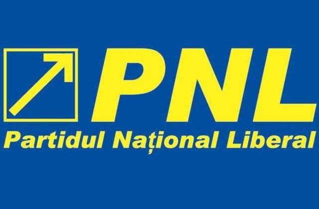 Un senator PNL cere colegilor sa renunte la indemnizatie in vacanta de eurocampanie
