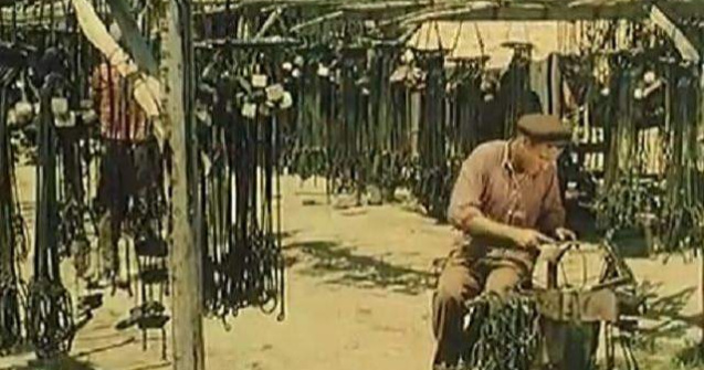  Video  Imagini inedite din Delta Dunarii, intr-un reportaj britanic