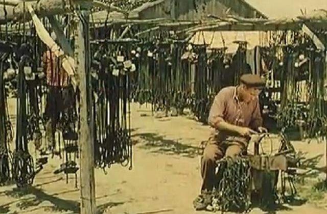 [VIDEO] Imagini inedite din Delta Dunarii, intr-un reportaj britanic din 1962