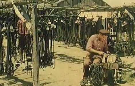  Video  Imagini inedite din Delta Dunarii, intr-un reportaj britanic