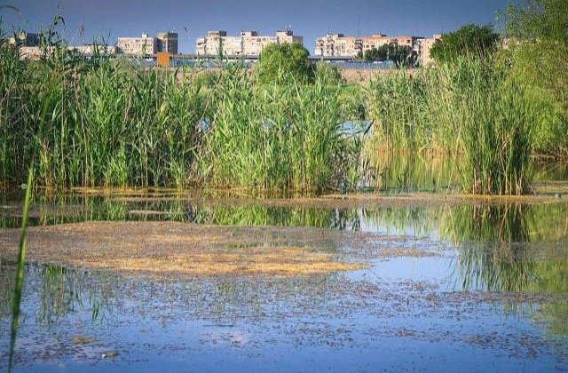 Viitorul Parc Natural Vacaresti din Sectorul 4 va fi avizat administrativ de CGMB