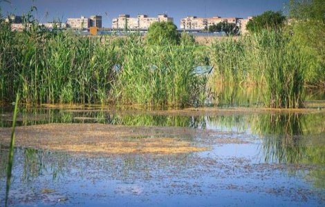 Viitorul Parc Natural Vacaresti din Sectorul 4 va fi aprobat