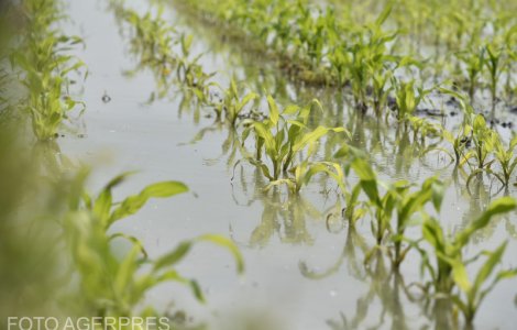 Prognoza meteo pentru joi, 5 mai 2022. ANM: Ploi și maxime de 23 de grade Celsius