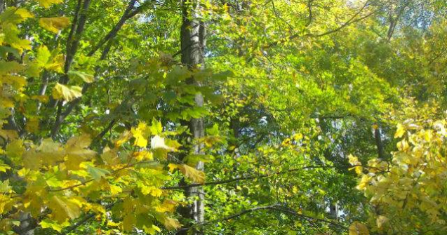  Top  Vremea de 1 mai. Prognoza meteo pentru urmatoarele doua saptamani