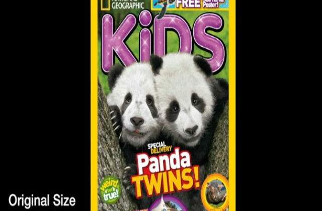 [VIDEO] Cum arata cea mai mica coperta din lume