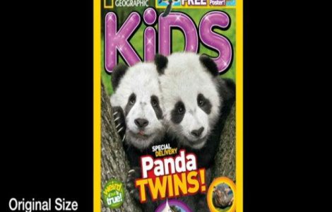  Video  Cum arata cea mai mica coperta din lume