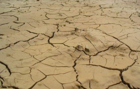 Coreea de Nord, afectata de cea mai grava seceta de dupa 1982