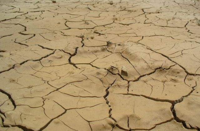 Coreea de Nord, afectata de cea mai grava seceta de dupa 1982