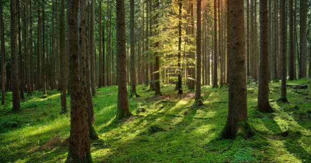 Meteo: Vremea la inceputul saptamanii