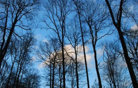  Top  Prognoza meteo: Cat va ploua in urmatoarele doua saptamani